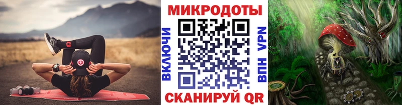 Псилоцибиновые грибы Psilocybe  Юрьевец 